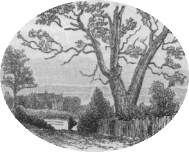 Turpin's oak, near Finchley